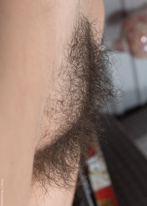 Wearehairy Model